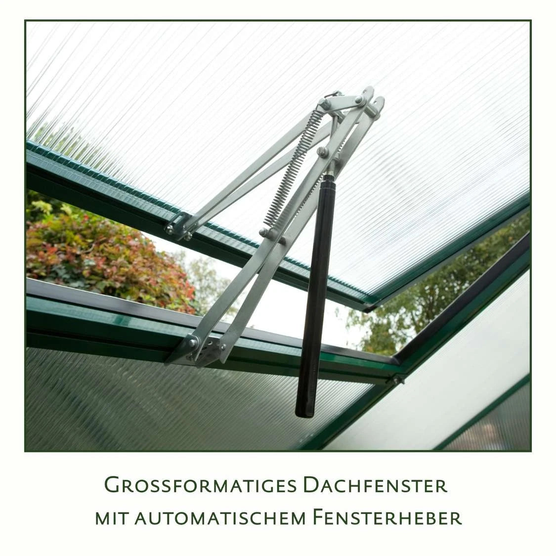 Orchidee III Moss Green Greenhouse KGT – Attractive Green Finish