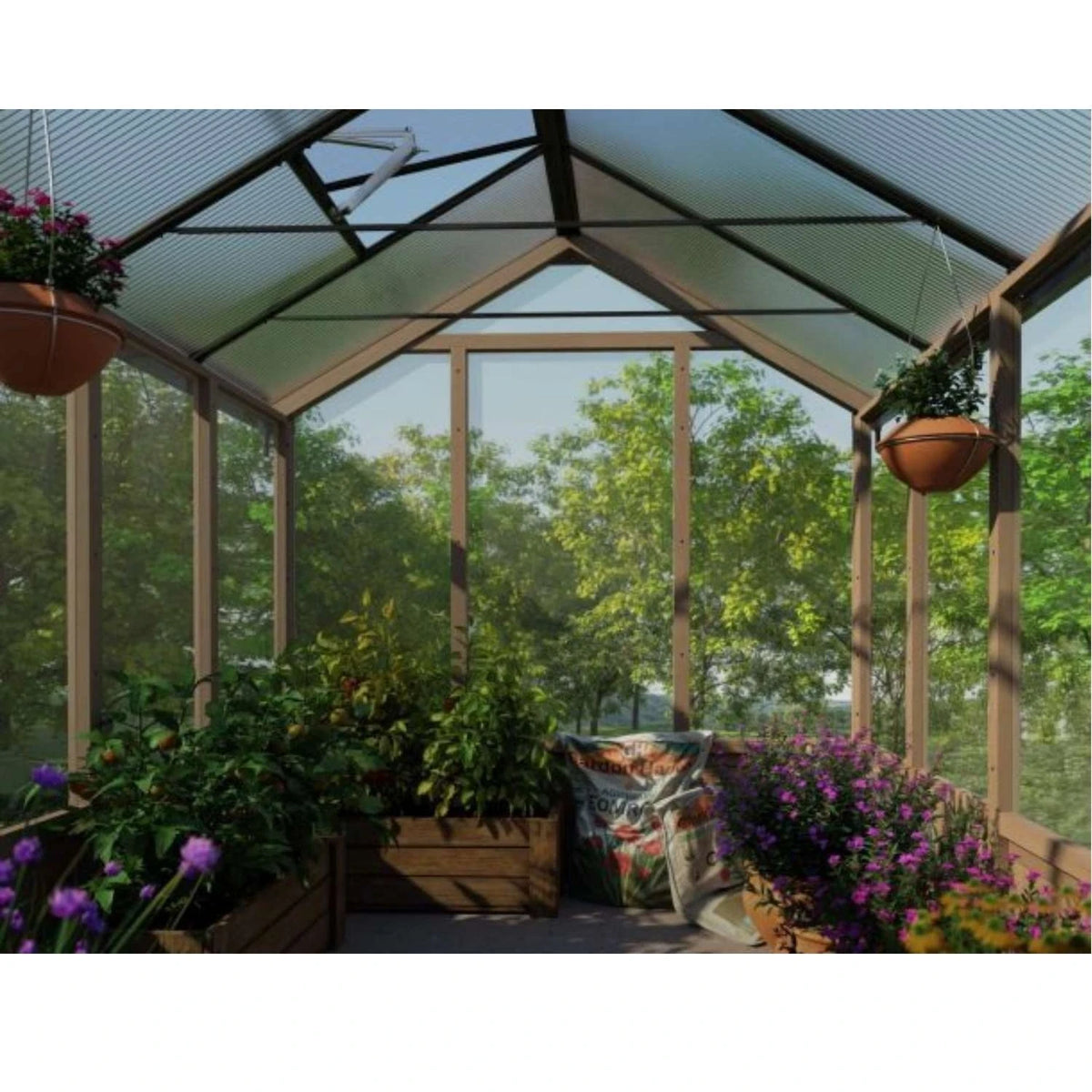 Drivhus cedertræ Natura 12 m2