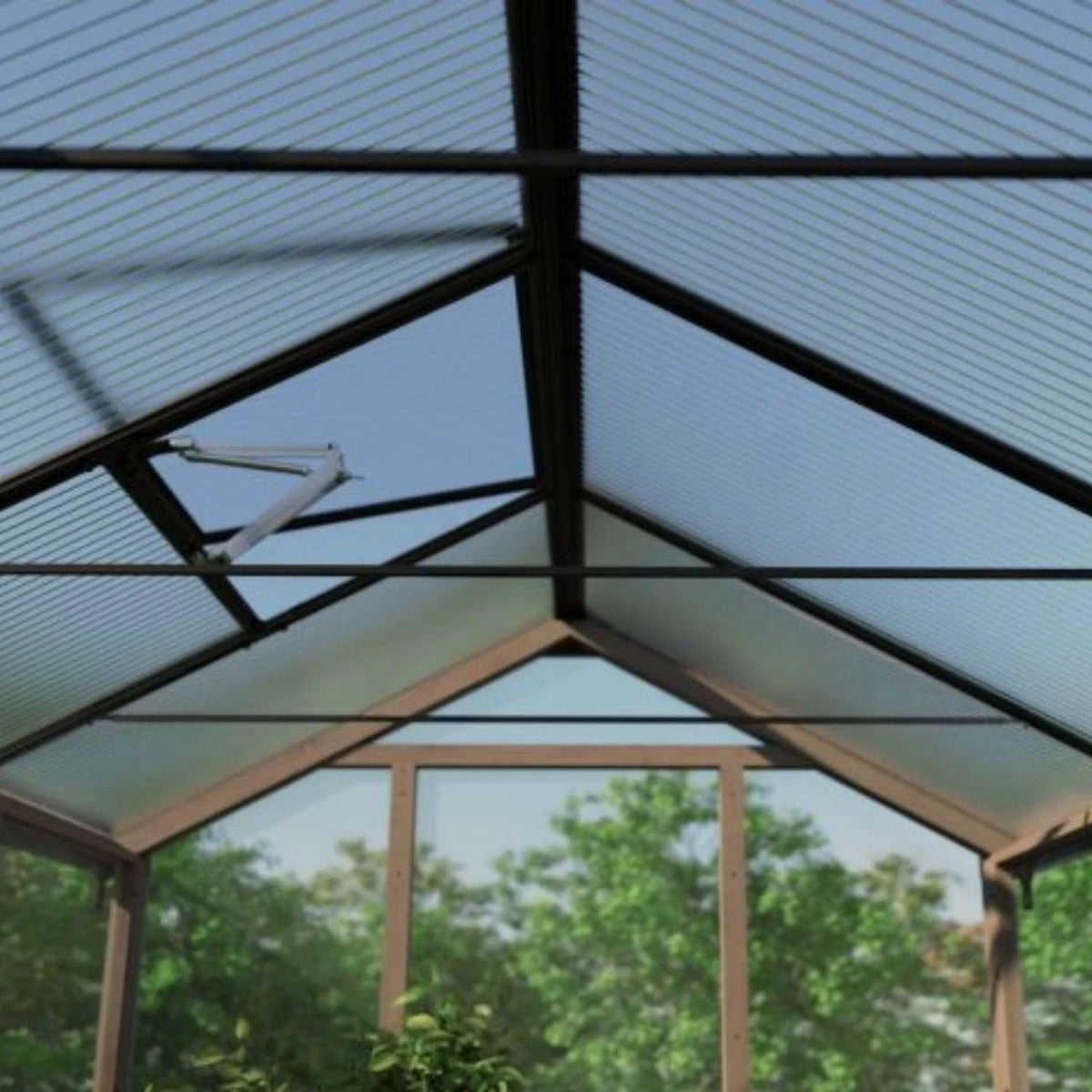 Drivhus cedertræ Natura 12 m2
