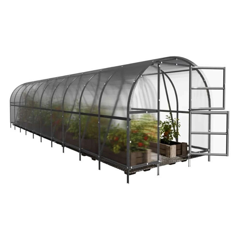 BALTIC LT drivhus 3 x 10 m (30 m2)