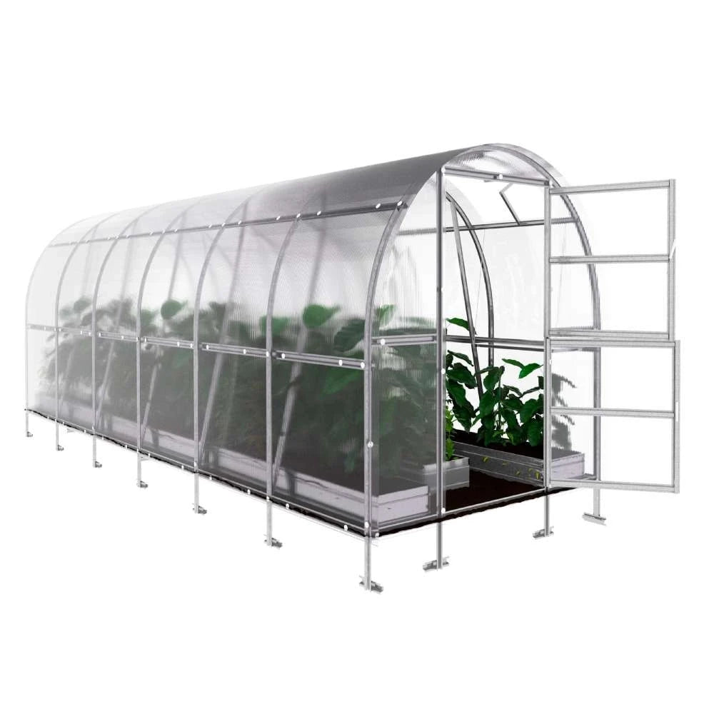 KLASIKA SLIM drivhus 2 x 6 m (12 m2)