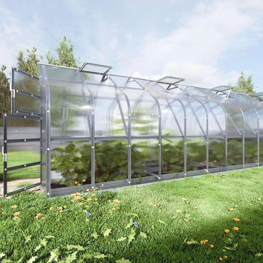 KLASIKA Standard 2,5 x 10 m (25 m2) (5 Loft vinduer)