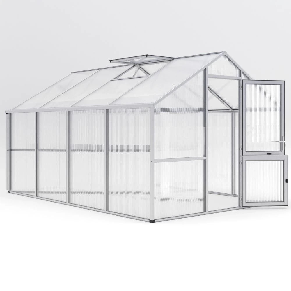 Greenhouse Nelke IV, blank